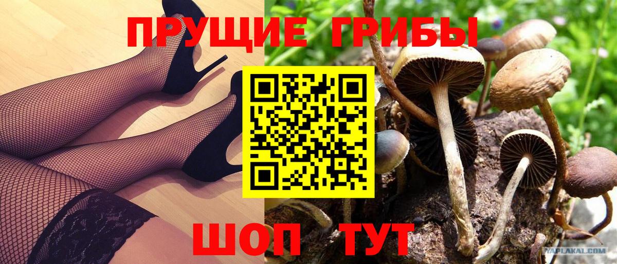 Псилоцибиновые грибы Magic Shrooms Домодедово