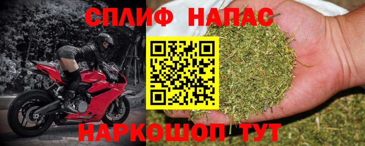 Канабис семена Домодедово